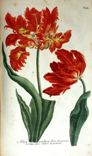 Bücher Naturwissenschaften