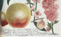 Natural History books