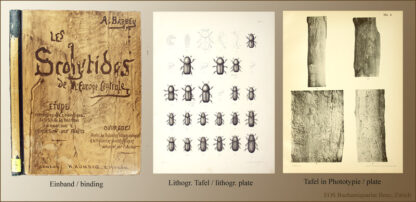 Barbey, Auguste: -Les Scolytides de l'Europe centrale –