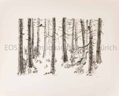Fischer, Hans (1909–1958): -Der gestiefelte Kater – Wald II.