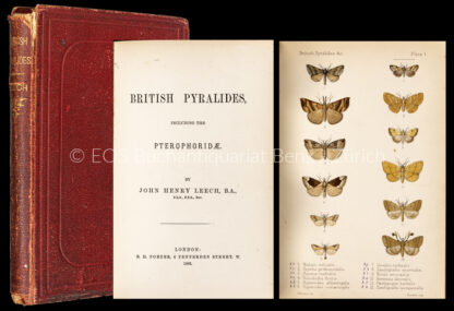 Leech, John Henry: -British Pyralides Including the Pterophoridae.