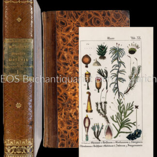 Hochstetter, Ch(ristian) F(erdinand Friedrich): -Populäre Botanik,