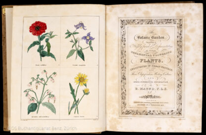 Maund, B(enjamin), Hrsg.: -The Botanic Garden; consisting of Highly Finished Representations of Hardy Ornamental Flowering Plants, Cultivated in Great Britain.