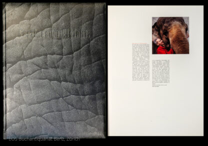 -Faszinosum Elefant.