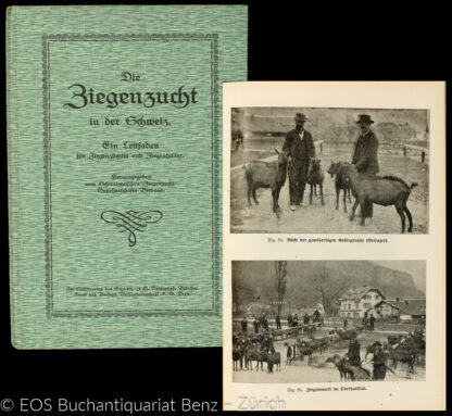 Gräff, Hermann (Red.): -Die Ziegenzucht in der Schweiz.