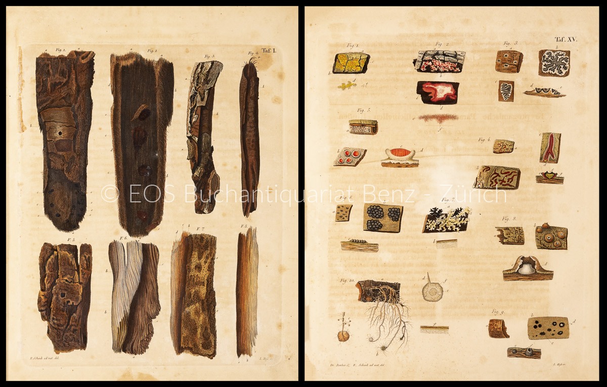 1055AB_2 - EOS BUCHANTIQUARIAT BENZ