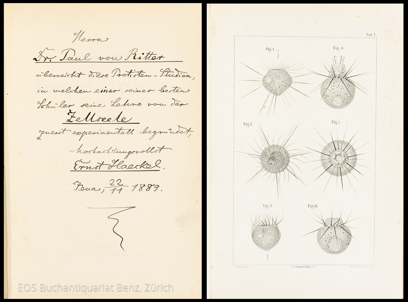 31254AB_2 - EOS BUCHANTIQUARIAT BENZ