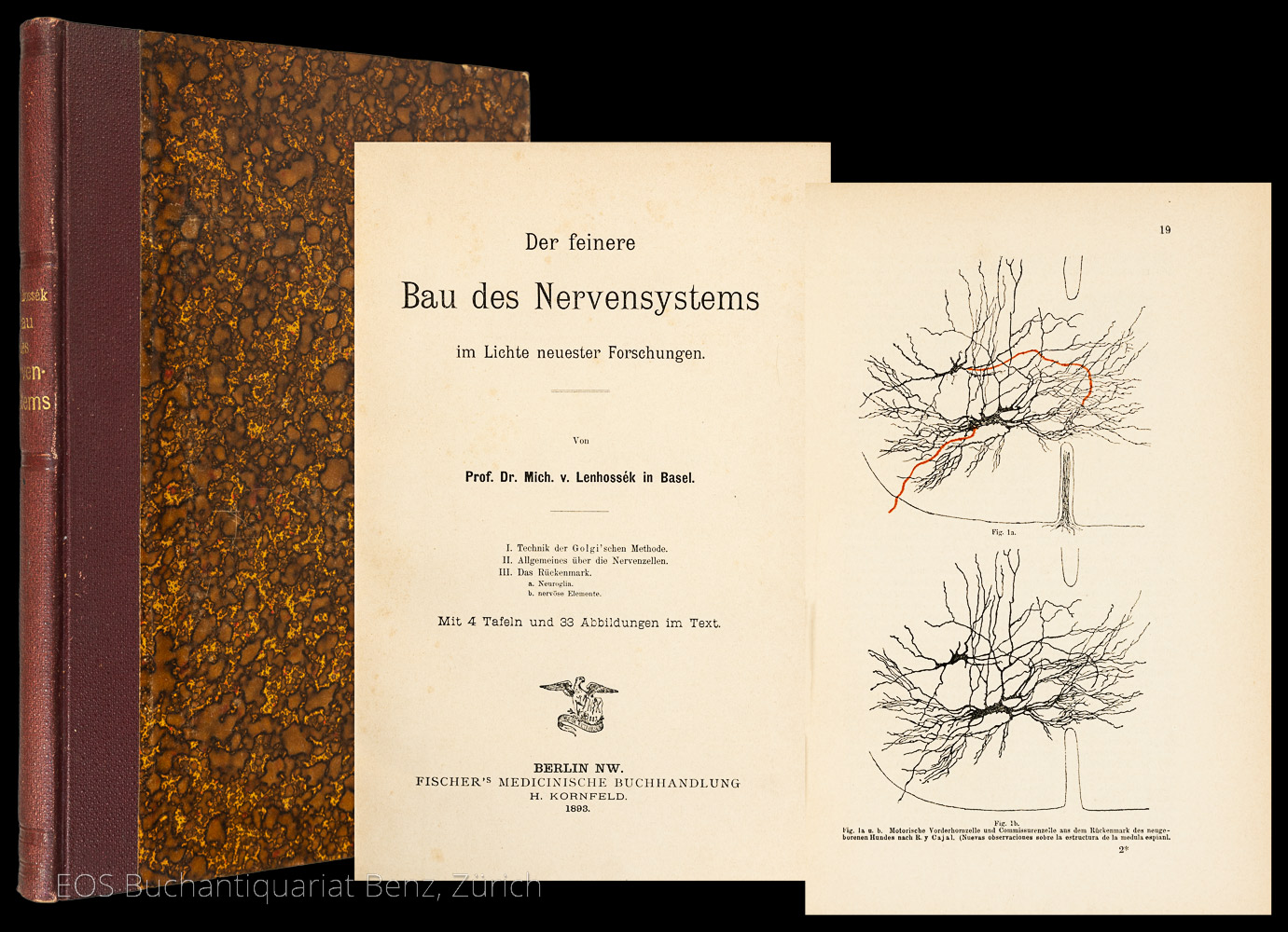 Der feinere Bau des Nervensystems im Lichte neuester Forschungen. - EOS BUCHANTIQUARIAT BENZ Lenhossék, Mihály: -Der feinere Bau des Nervensystems im Lichte neuester Forschungen.
