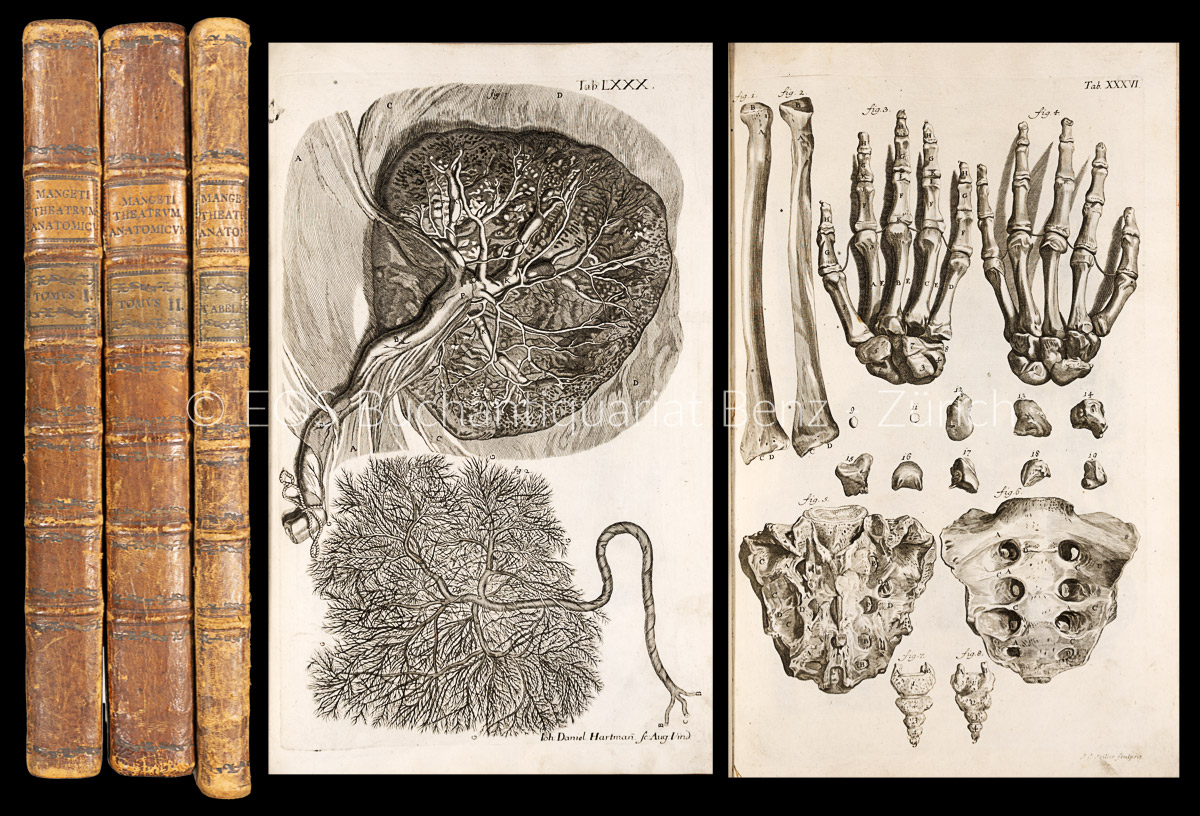 Theatrum anatomicum... - EOS BUCHANTIQUARIAT BENZ Manget, Jean Jacques: -Theatrum anatomicum...