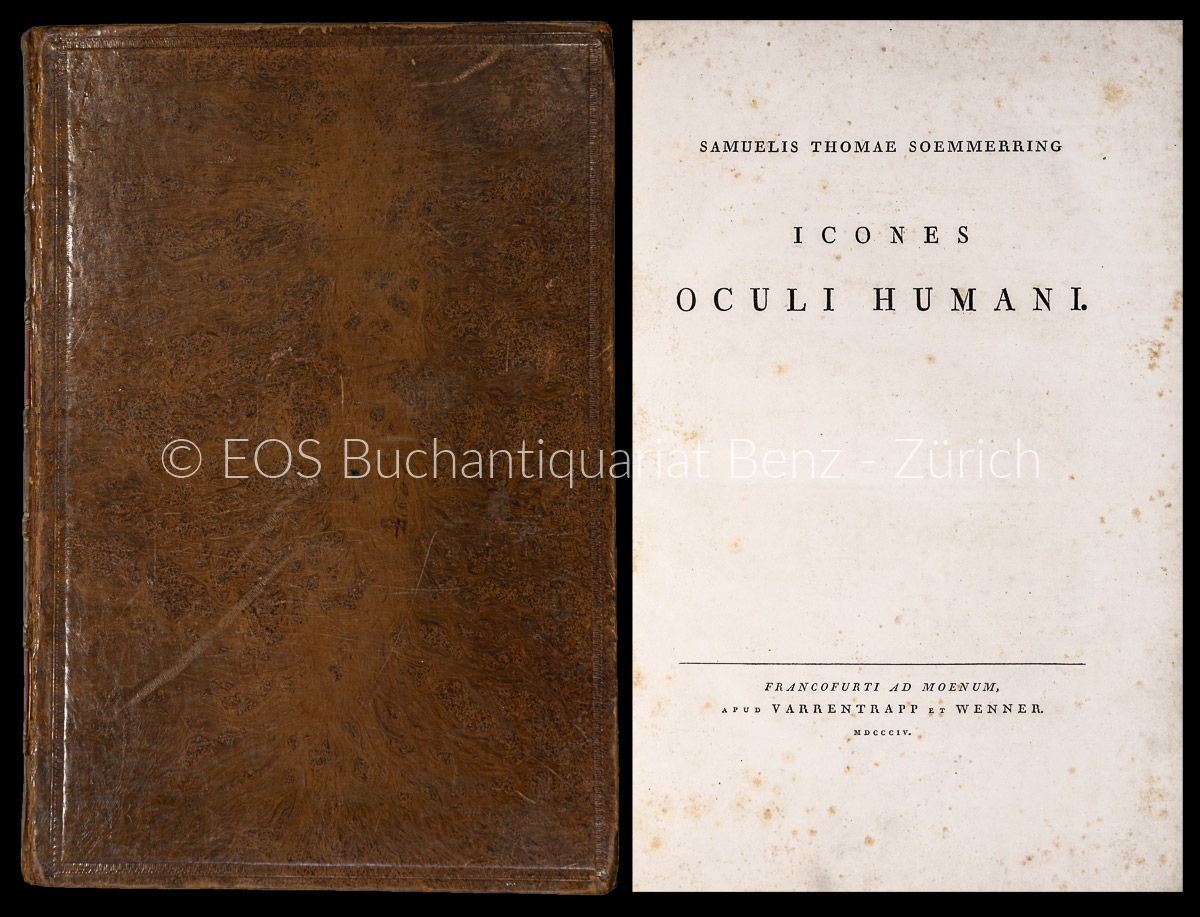 Icones oculi humani. - EOS BUCHANTIQUARIAT BENZ Soemmerring, Samuel Thomas v.: -Icones oculi humani.
