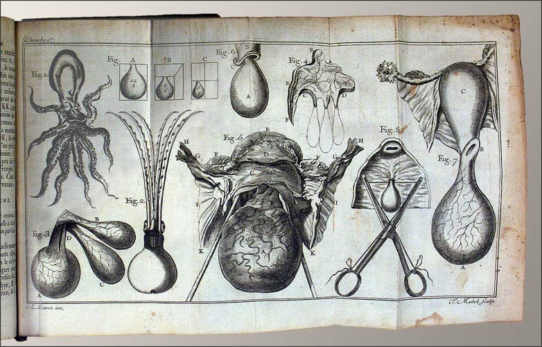 40212DB_3 - EOS BUCHANTIQUARIAT BENZ