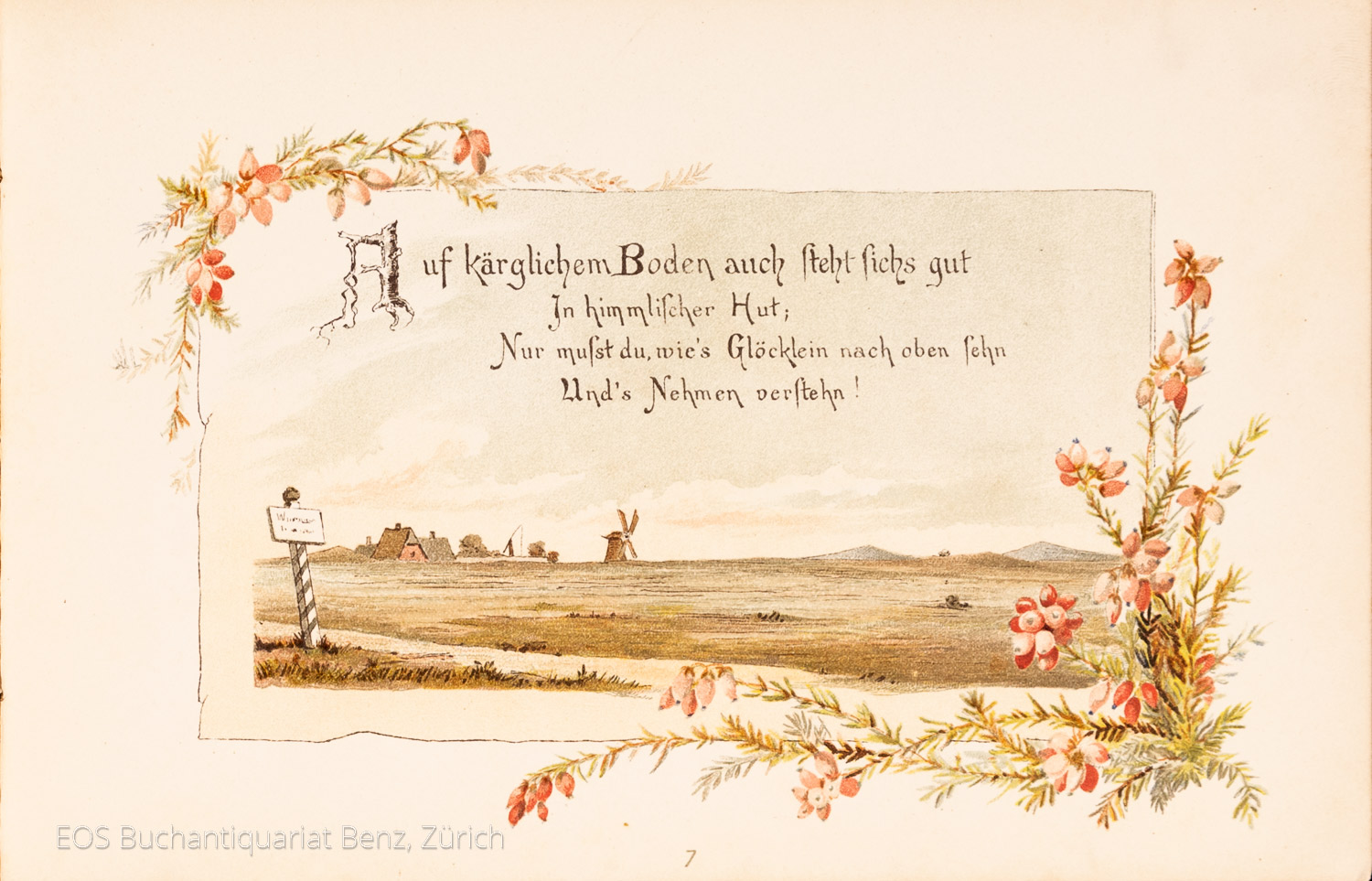 4550DB_2 - EOS BUCHANTIQUARIAT BENZ