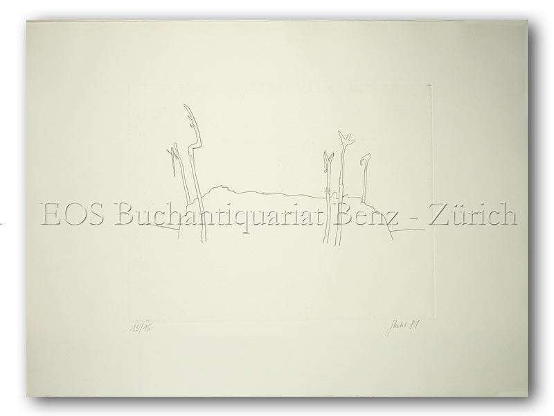 Das Sommergrab. - EOS BUCHANTIQUARIAT BENZ Stiefel, Peter: -Das Sommergrab.