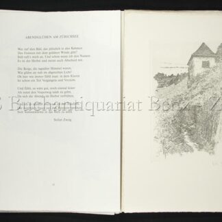 Der ganze Zürichsee vor meinen Füssen. - EOS BUCHANTIQUARIAT BENZ -Der ganze Zürichsee vor meinen Füssen.