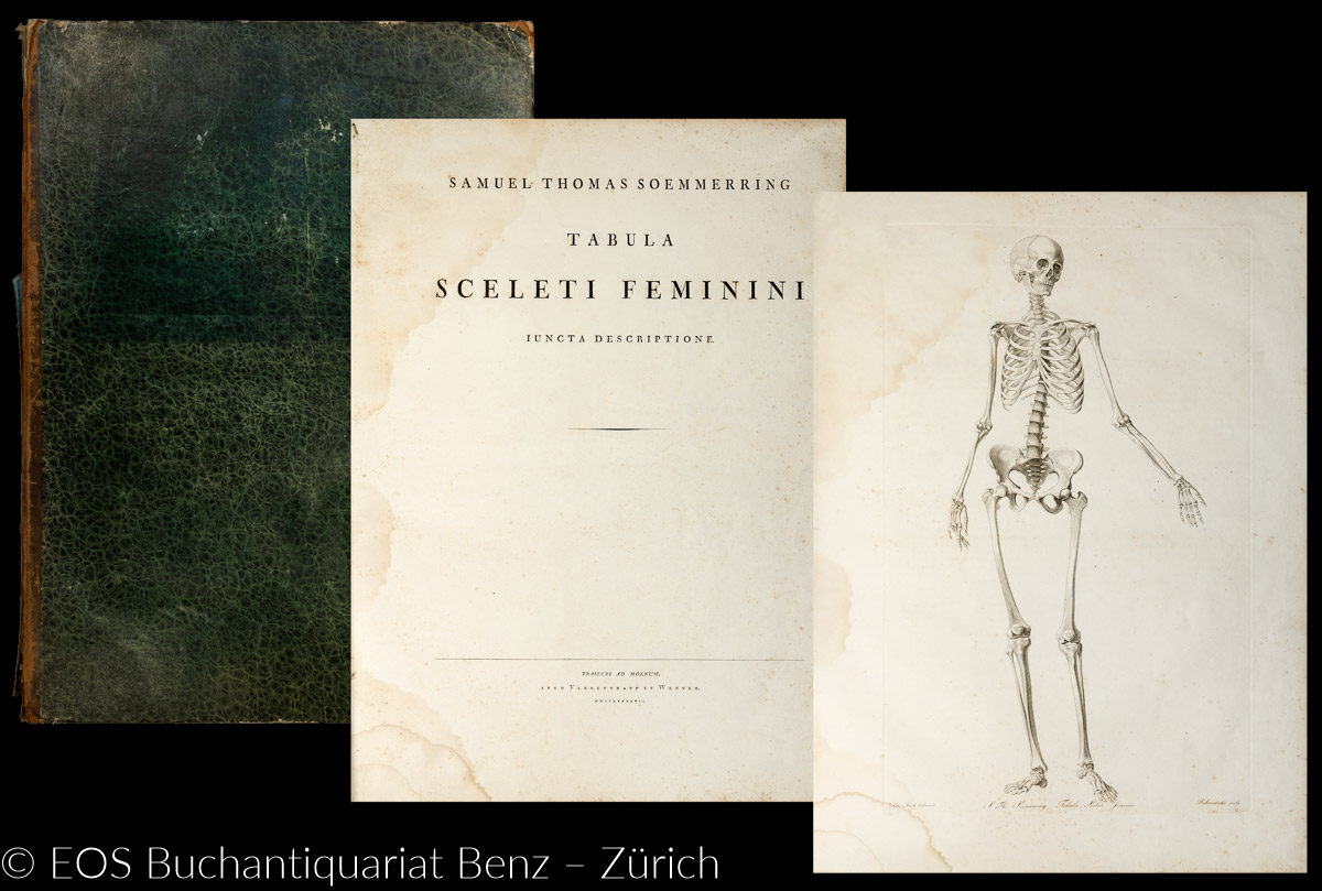 Tabula sceleti femini und Icones Embryonum Humanorum. - EOS BUCHANTIQUARIAT BENZ Soemmerring, Samuel Thomas von (1755–1830). -Tabula sceleti femini und Icones Embryonum Humanorum.