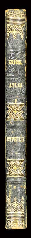 Chromolithographische Tafeln. - EOS BUCHANTIQUARIAT BENZ Heitzmann, Julius: -Chromolithographische Tafeln.