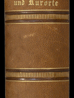 Meyer-Ahrens, Konrad: -Die Heilquellen und Kurorte der Schweiz und einigen der Schweiz zunächst angrenzenden Gegenden der Nachbarstaaten.