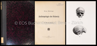 Schürch, Otto: -Neue Beiträge zur Anthropologie der Schweiz.