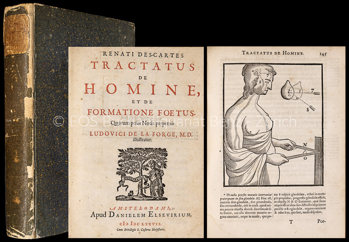 Tractatus de homine, et de formatione foetus. - EOS BUCHANTIQUARIAT BENZ Descartes, René: -Tractatus de homine, et de formatione foetus.