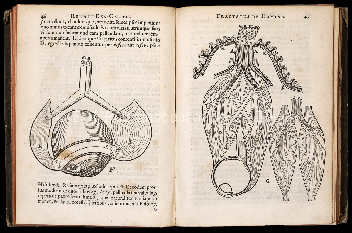 7609BB_2 - EOS BUCHANTIQUARIAT BENZ