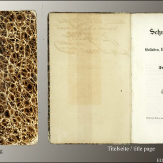 Otte, Friedrich: -Schweizer-Sagen