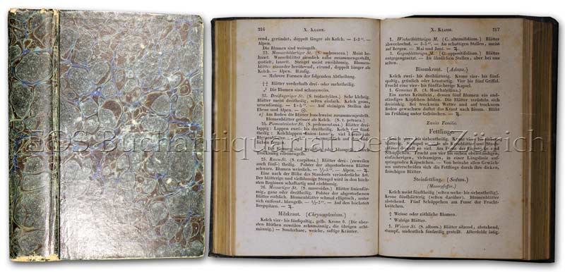 Die Pflanzen der Schweiz, - EOS BUCHANTIQUARIAT BENZ Moritzi, Alexander: -Die Pflanzen der Schweiz,