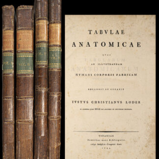 Loder, Christian Justus: -Tabulae anatomicae quas illustradum humani corporis fabricam.