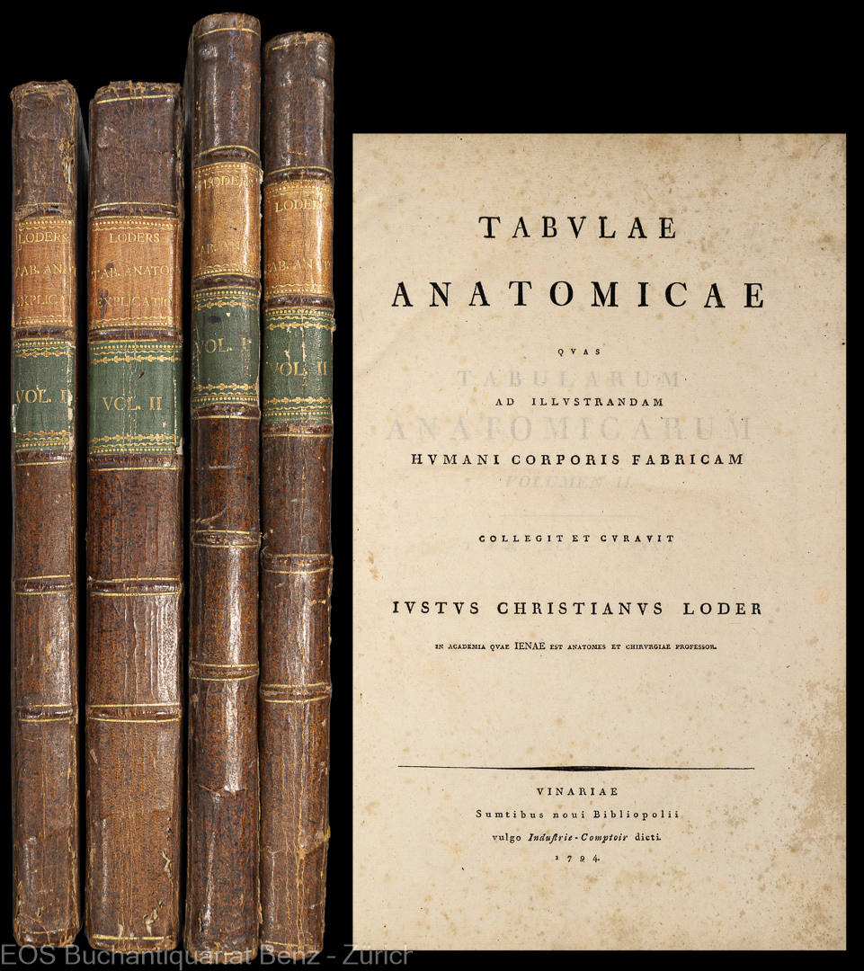 Tabulae anatomicae quas illustradum humani corporis fabricam. - EOS BUCHANTIQUARIAT BENZ Loder, Christian Justus: -Tabulae anatomicae quas illustradum humani corporis fabricam.