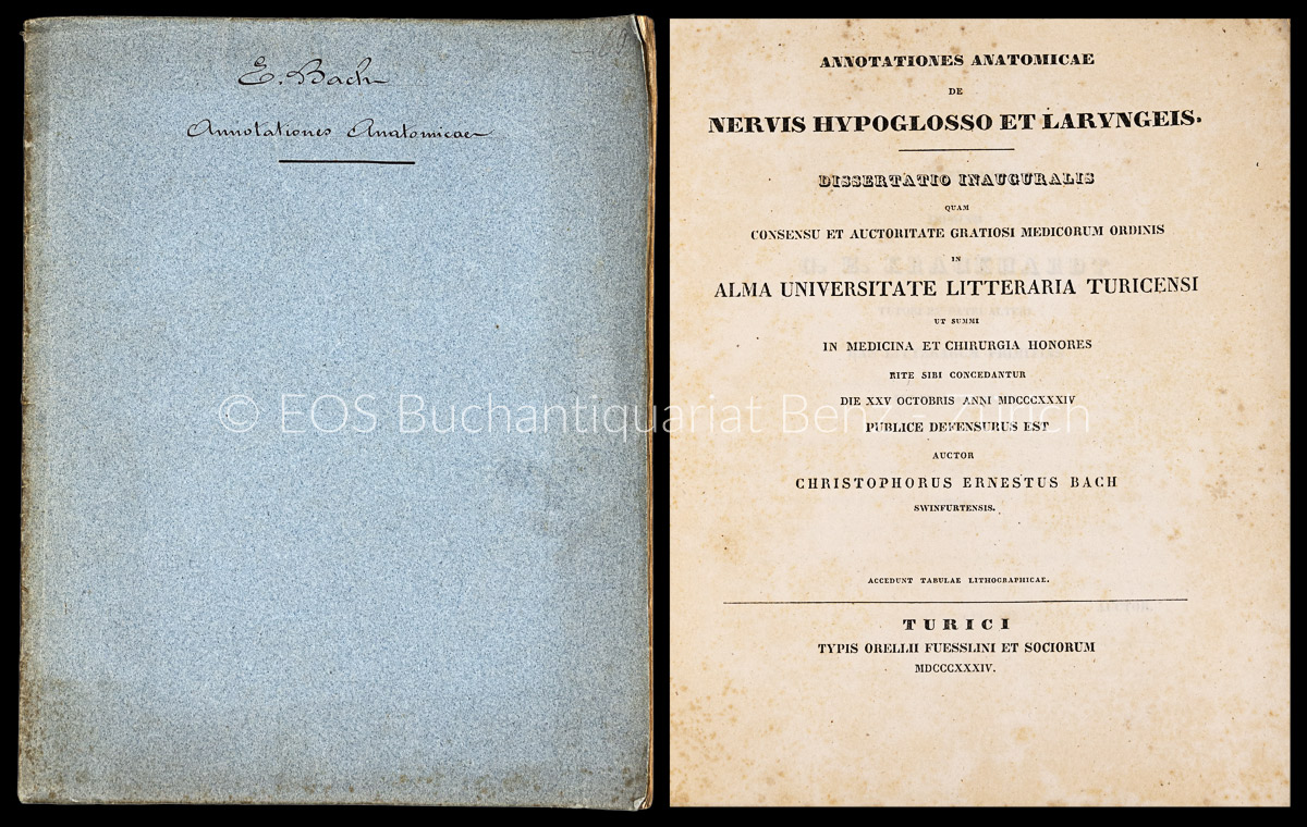 Annotationes anatomicae de nervis hypoglosso et laryngeis. - EOS BUCHANTIQUARIAT BENZ Bach, Christoph Ernst: -Annotationes anatomicae de nervis hypoglosso et laryngeis.