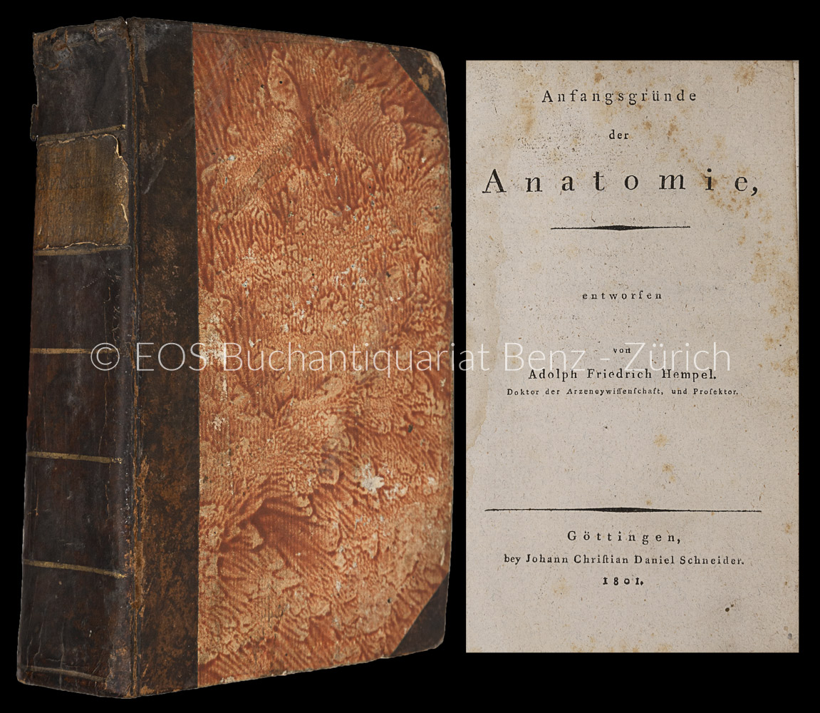 Anfangsgründe der Anatomie. - EOS BUCHANTIQUARIAT BENZ Hempel, Adolph Friedrich: -Anfangsgründe der Anatomie.