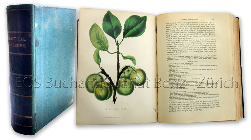 The New Practical Gardener, - EOS BUCHANTIQUARIAT BENZ Anderson, James: -The New Practical Gardener,