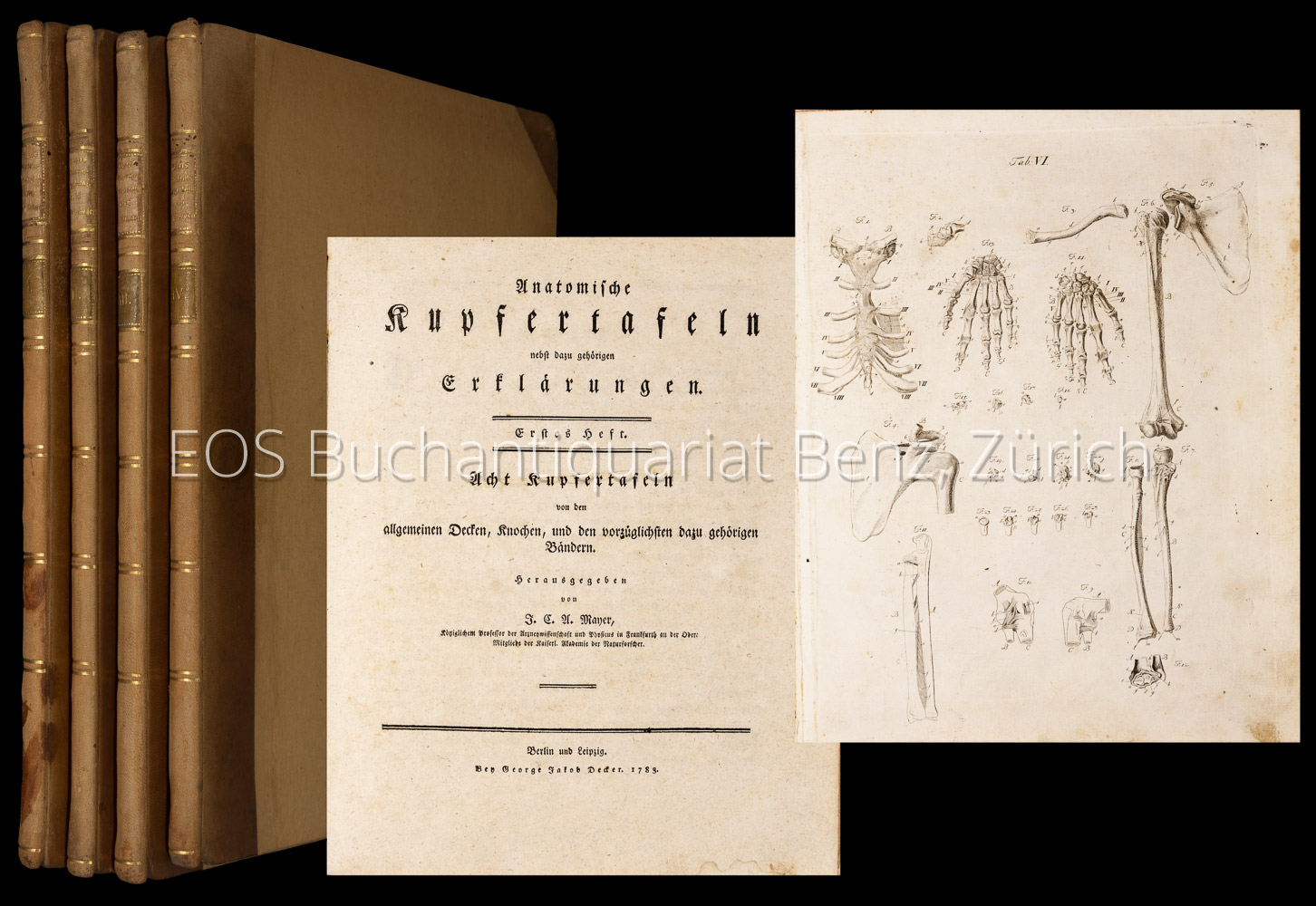 Anatomische Kupfertafeln. - EOS BUCHANTIQUARIAT BENZ Mayer, Johann Christoph Andreas: -Anatomische Kupfertafeln.