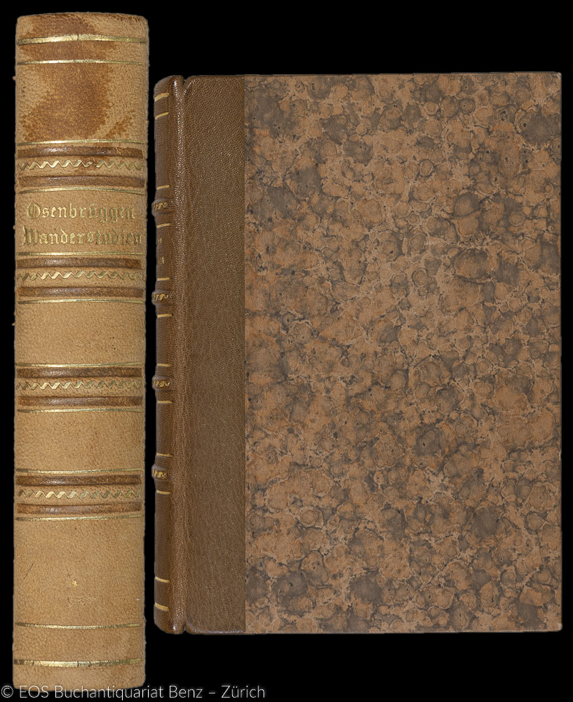 Wanderstudien aus der Schweiz. - EOS BUCHANTIQUARIAT BENZ Osenbrüggen, Eduard: -Wanderstudien aus der Schweiz.