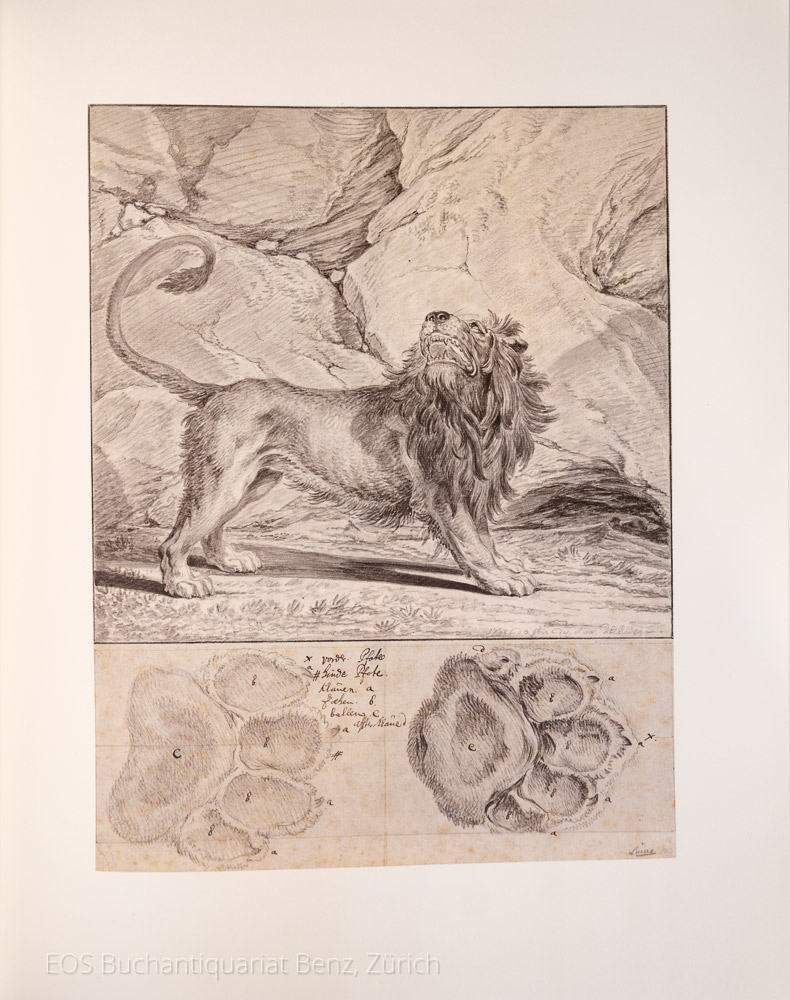 31222AB_3 - EOS BUCHANTIQUARIAT BENZ