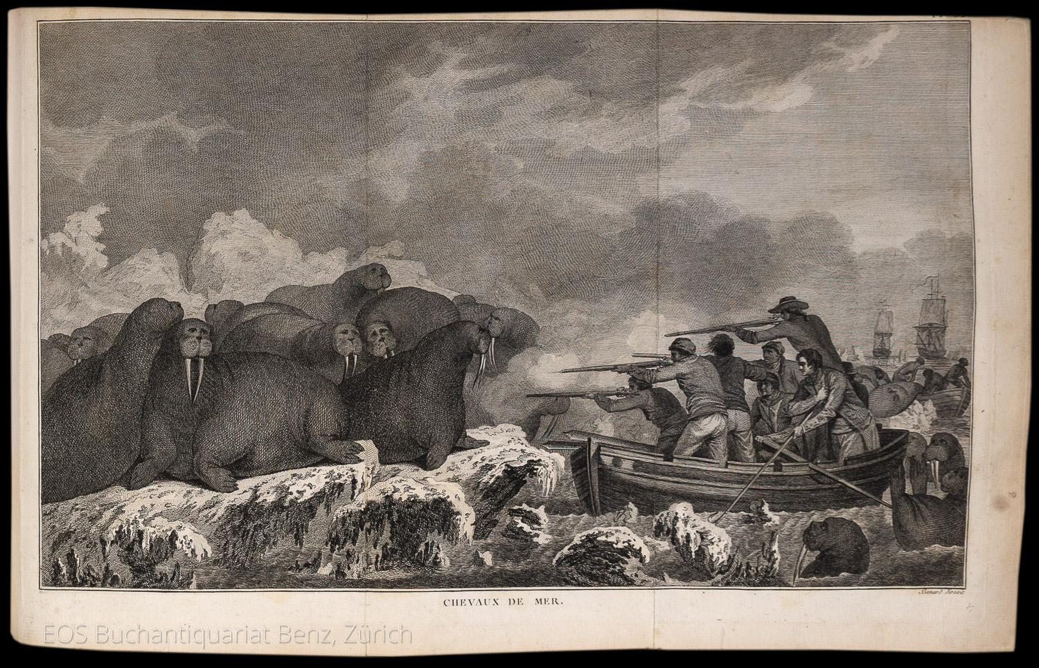 31244AB_4 - EOS BUCHANTIQUARIAT BENZ