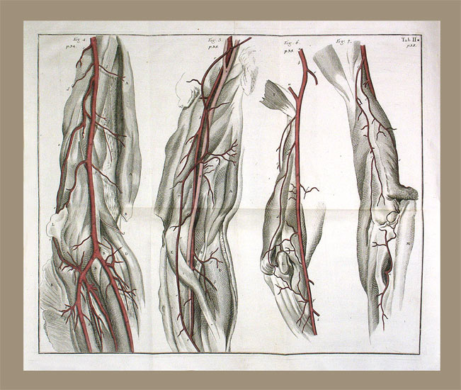 Aneurysmatis spurii. - EOS BUCHANTIQUARIAT BENZ Trew, Christoph Jakob: -Aneurysmatis spurii.