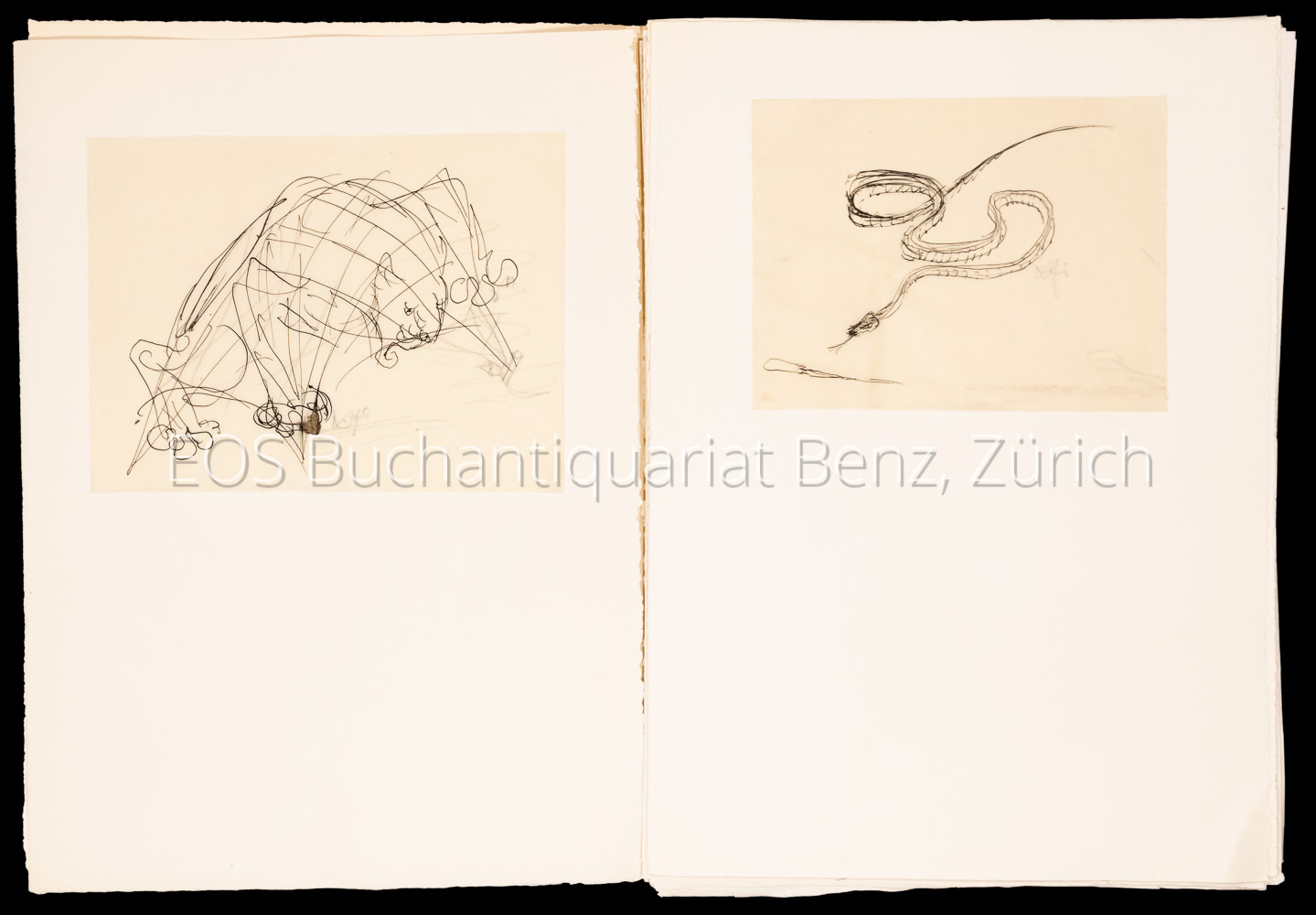 4174DB_3 - EOS BUCHANTIQUARIAT BENZ