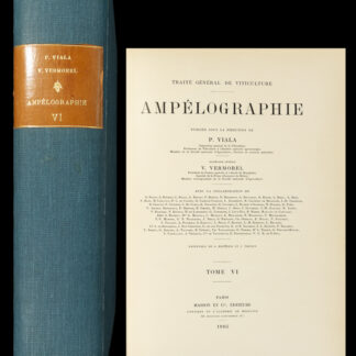 Viala P. & Vermorel V. -Ampélographie.
