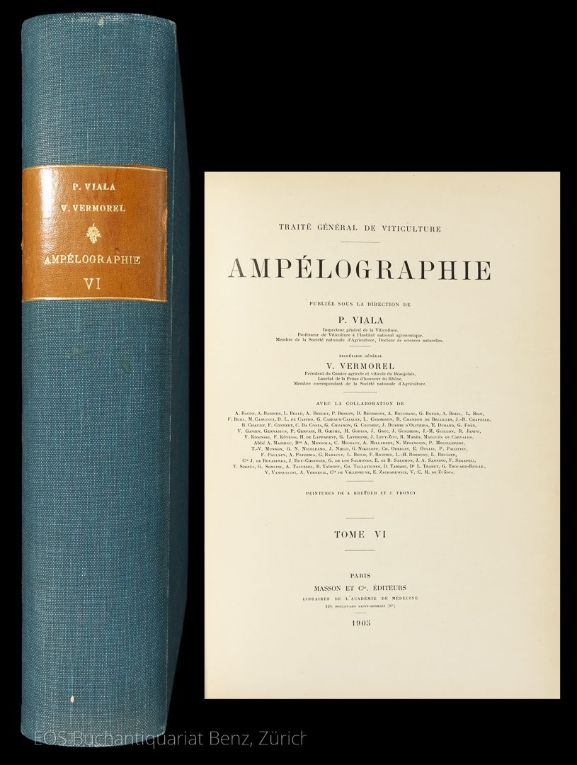 Ampélographie. - EOS BUCHANTIQUARIAT BENZ Viala P. & Vermorel V. -Ampélographie.