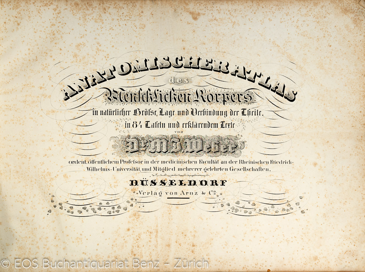 Anatomischer Atlas des Menschlichen Körpers. - EOS BUCHANTIQUARIAT BENZ Weber, Moritz Ignaz: -Anatomischer Atlas des Menschlichen Körpers.
