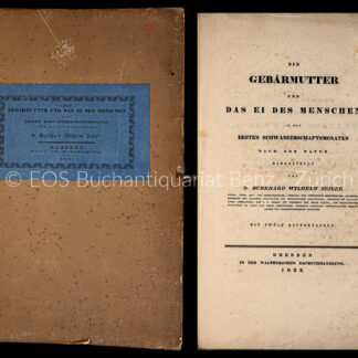 Seiler, Burkhard Wilhelm: -Die Gebärmutter