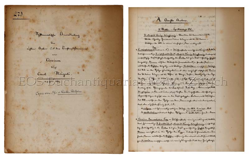 Handschrift von Carl Nägeli (1817-1891: Schweizer Botaniker. - EOS BUCHANTIQUARIAT BENZ -Handschrift von Carl Nägeli (1817-1891: Schweizer Botaniker.