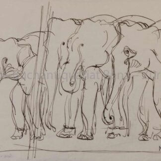 Fischer, Hans (1909–1958): -Elefanten.