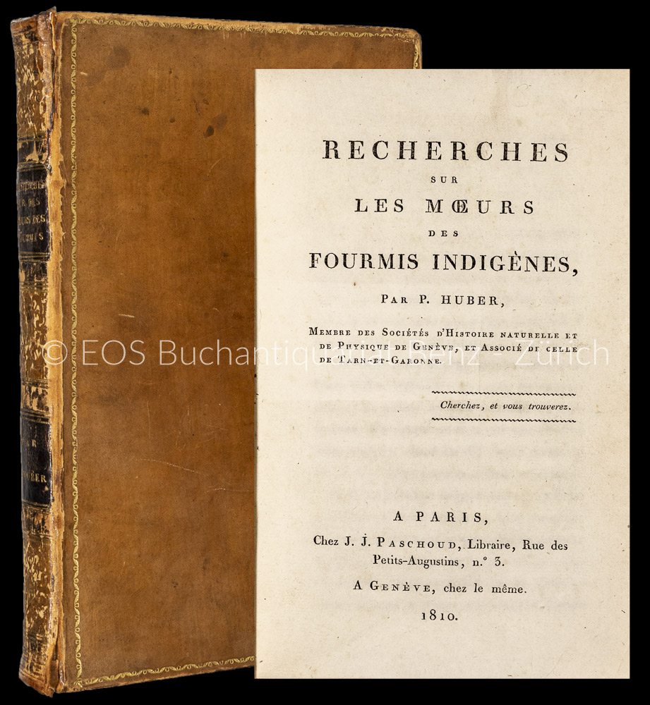 Recherches sur les moeurs des fourmis indigènes. - EOS BUCHANTIQUARIAT BENZ Huber, P(ierre): -Recherches sur les moeurs des fourmis indigènes.