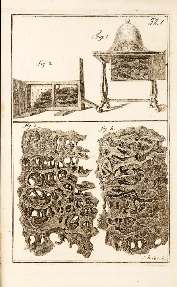 18158AB_2 - EOS BUCHANTIQUARIAT BENZ