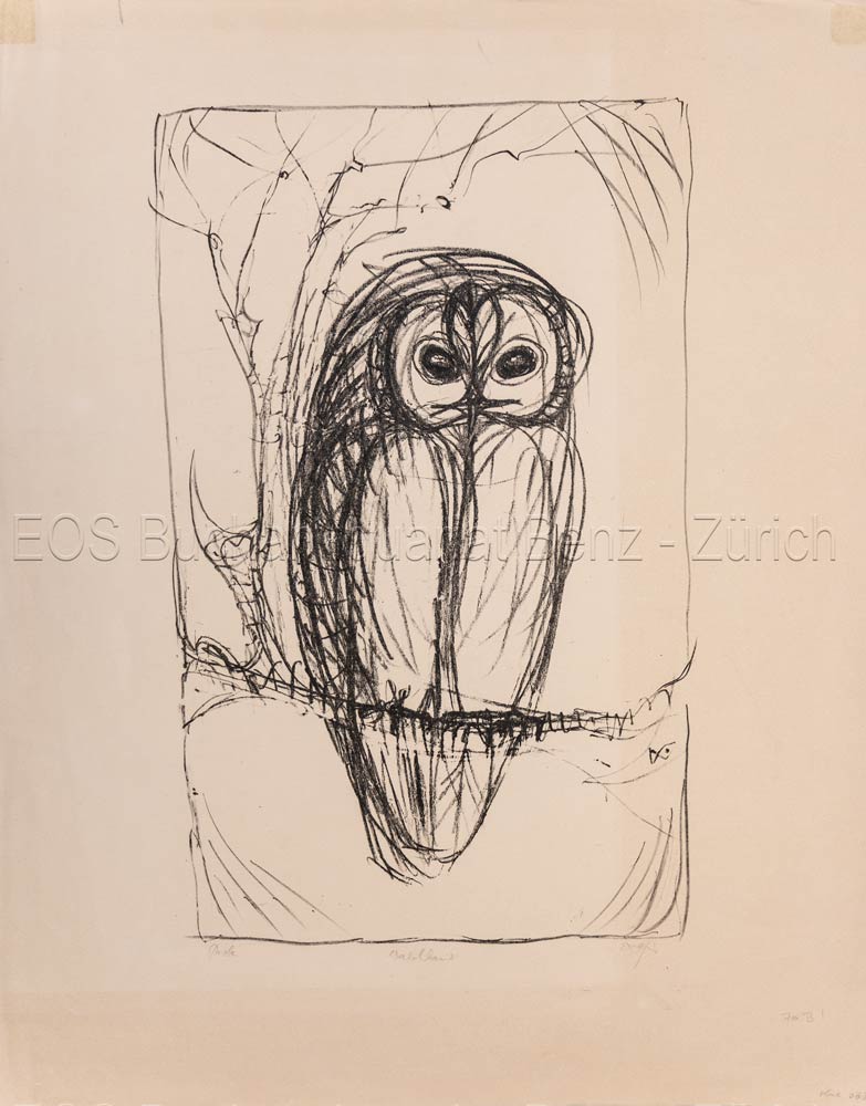 Eule auf einem Ast. – - EOS BUCHANTIQUARIAT BENZ Fischer, Hans (1909–1958): -Eule auf einem Ast. –