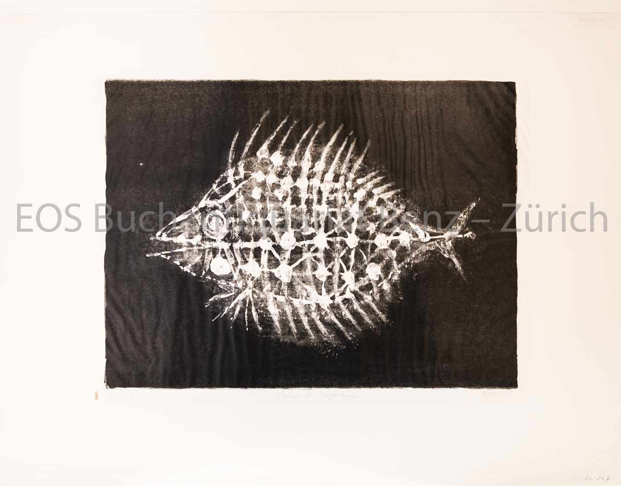 Poisson des profondeurs. - EOS BUCHANTIQUARIAT BENZ Fischer, Hans (1909–1958): -Poisson des profondeurs.