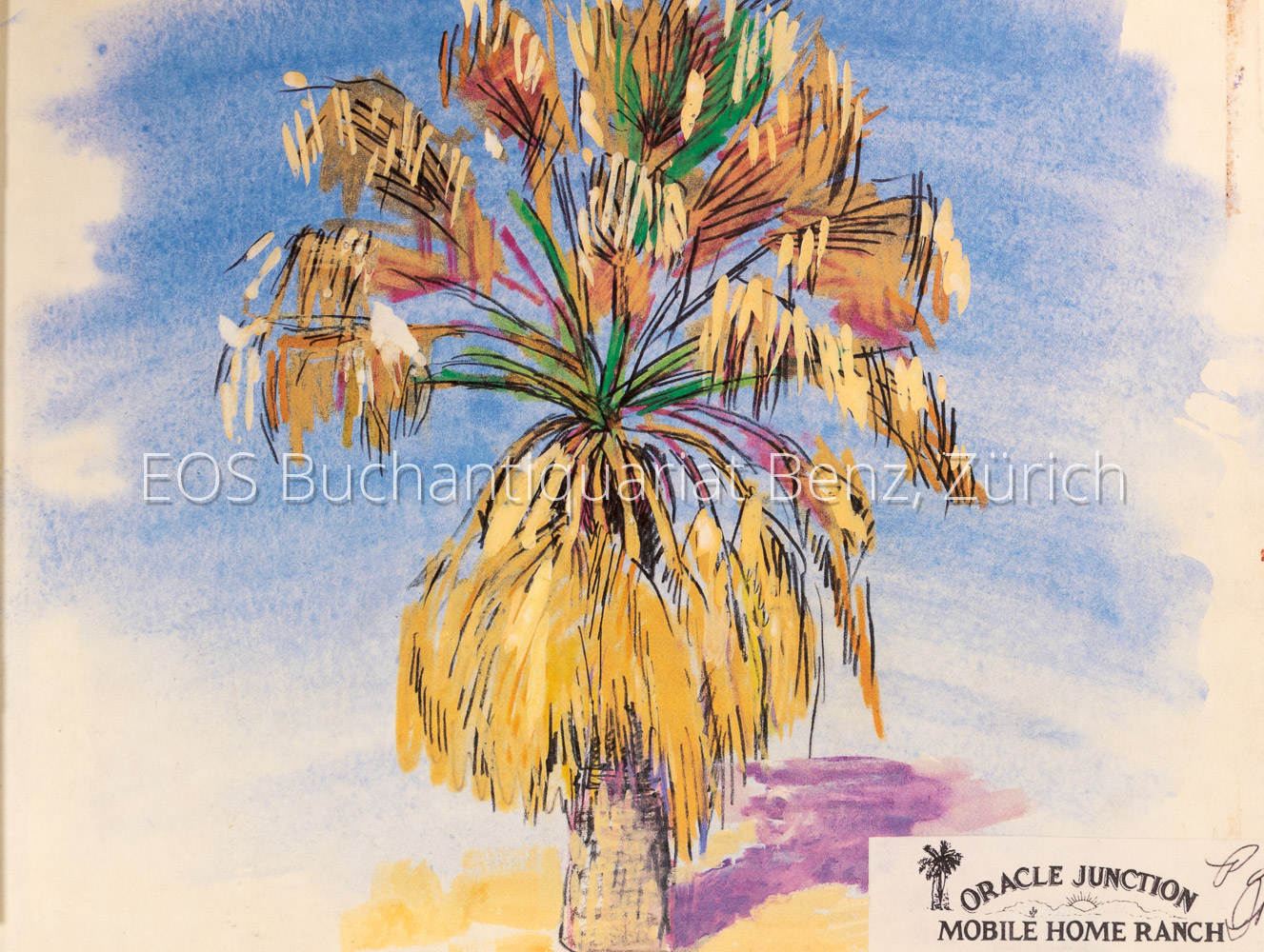 2769DB_2 - EOS BUCHANTIQUARIAT BENZ