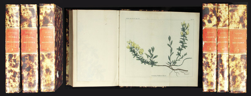 Flora Helvetica sive historia - EOS BUCHANTIQUARIAT BENZ Gaudin, J(ean): -Flora Helvetica sive historia