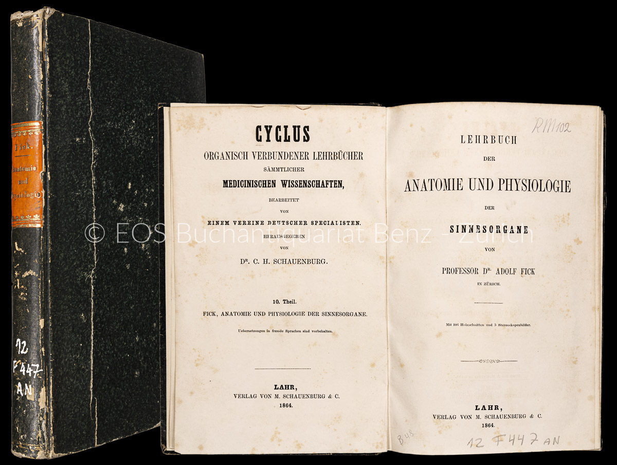 Die Krankheiten des Magens. - EOS BUCHANTIQUARIAT BENZ Brinton, William: -Die Krankheiten des Magens.